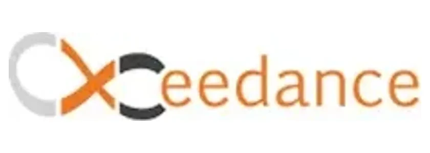 Xceedance logo