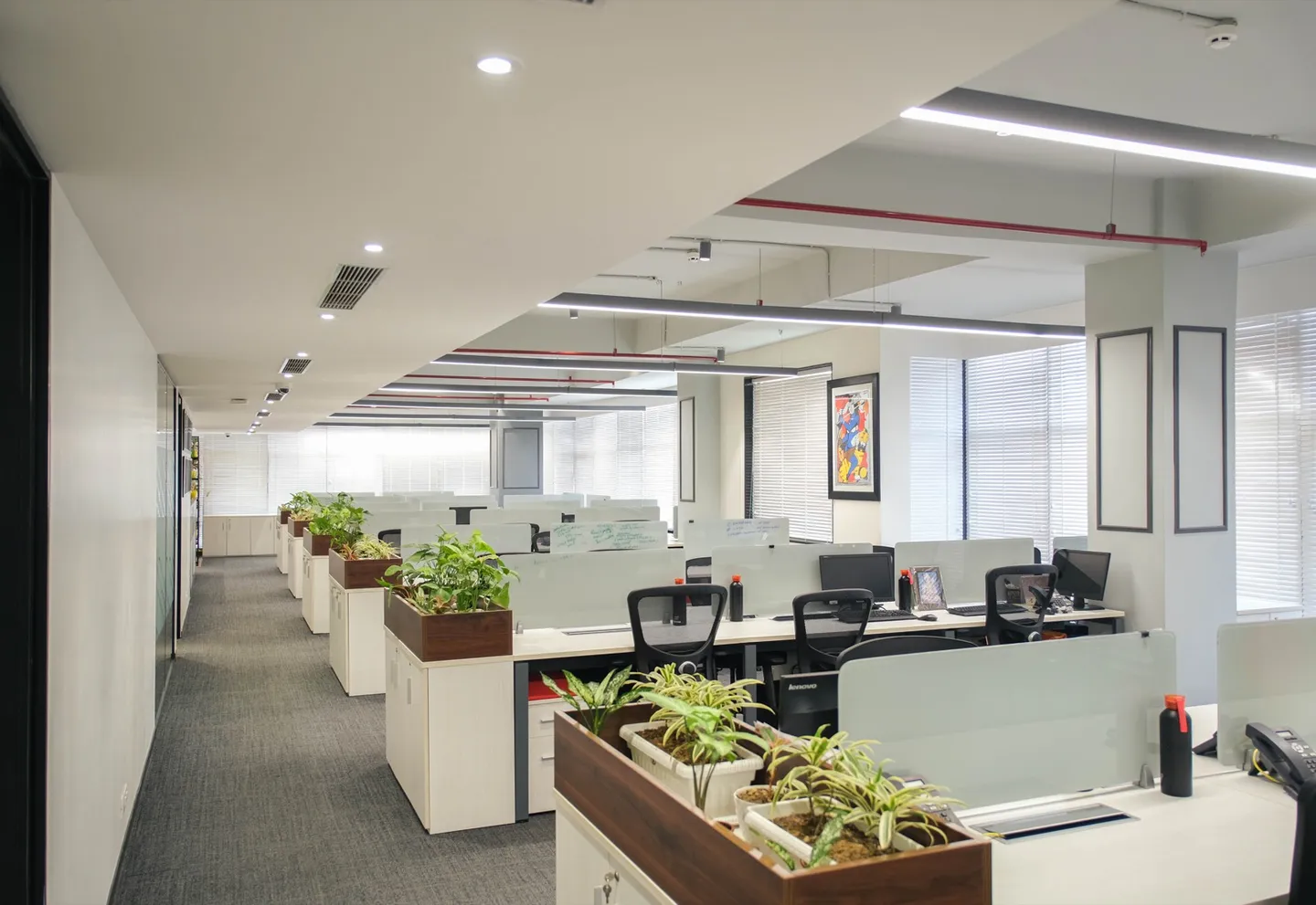 Open workspace with desk pods, planter dividers, mesh chairs and blinds — AIHP managed office, Gurgaon