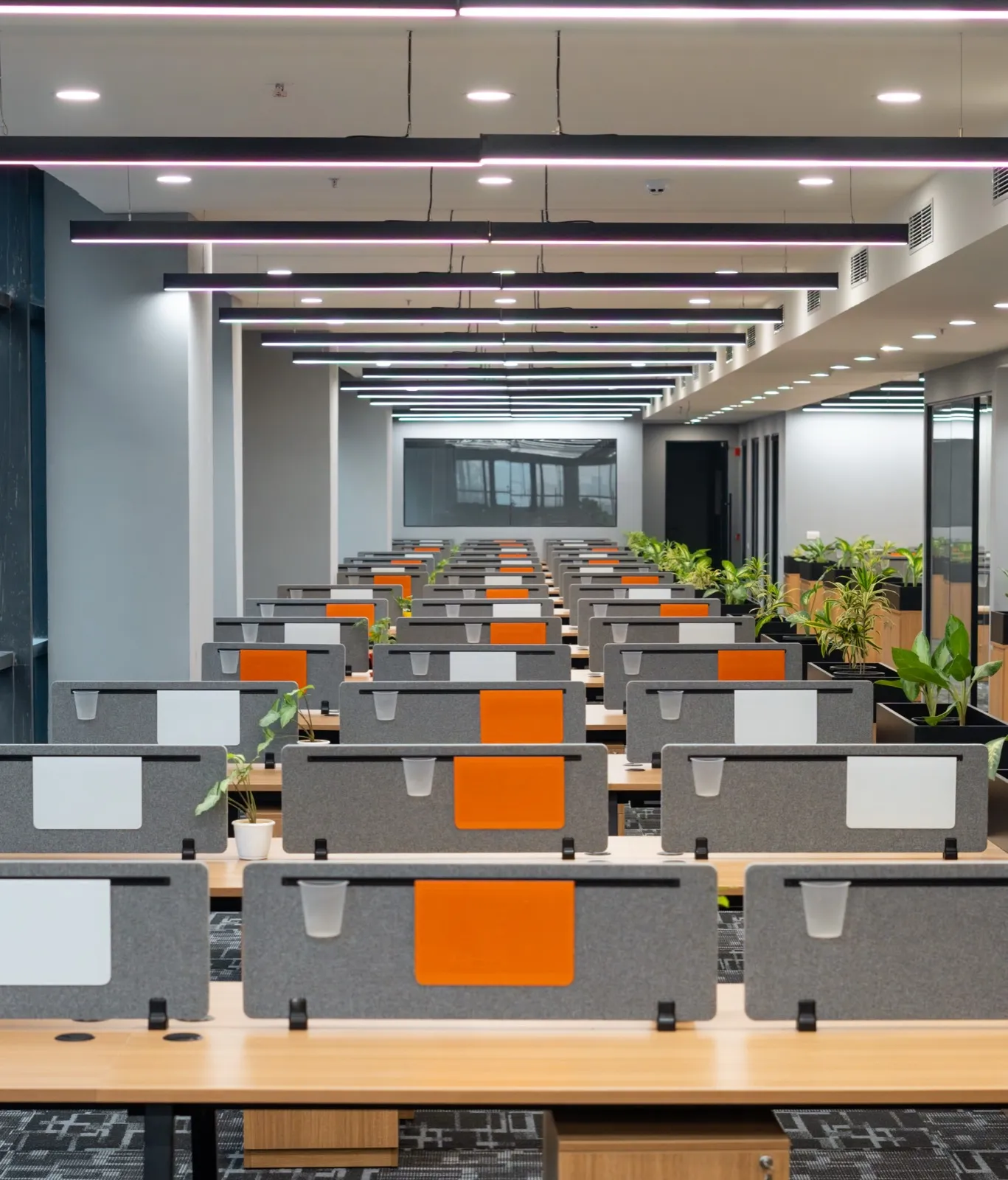 Long rows of desks with grey and orange acoustic dividers and planters — AIHP managed office, Gurgaon