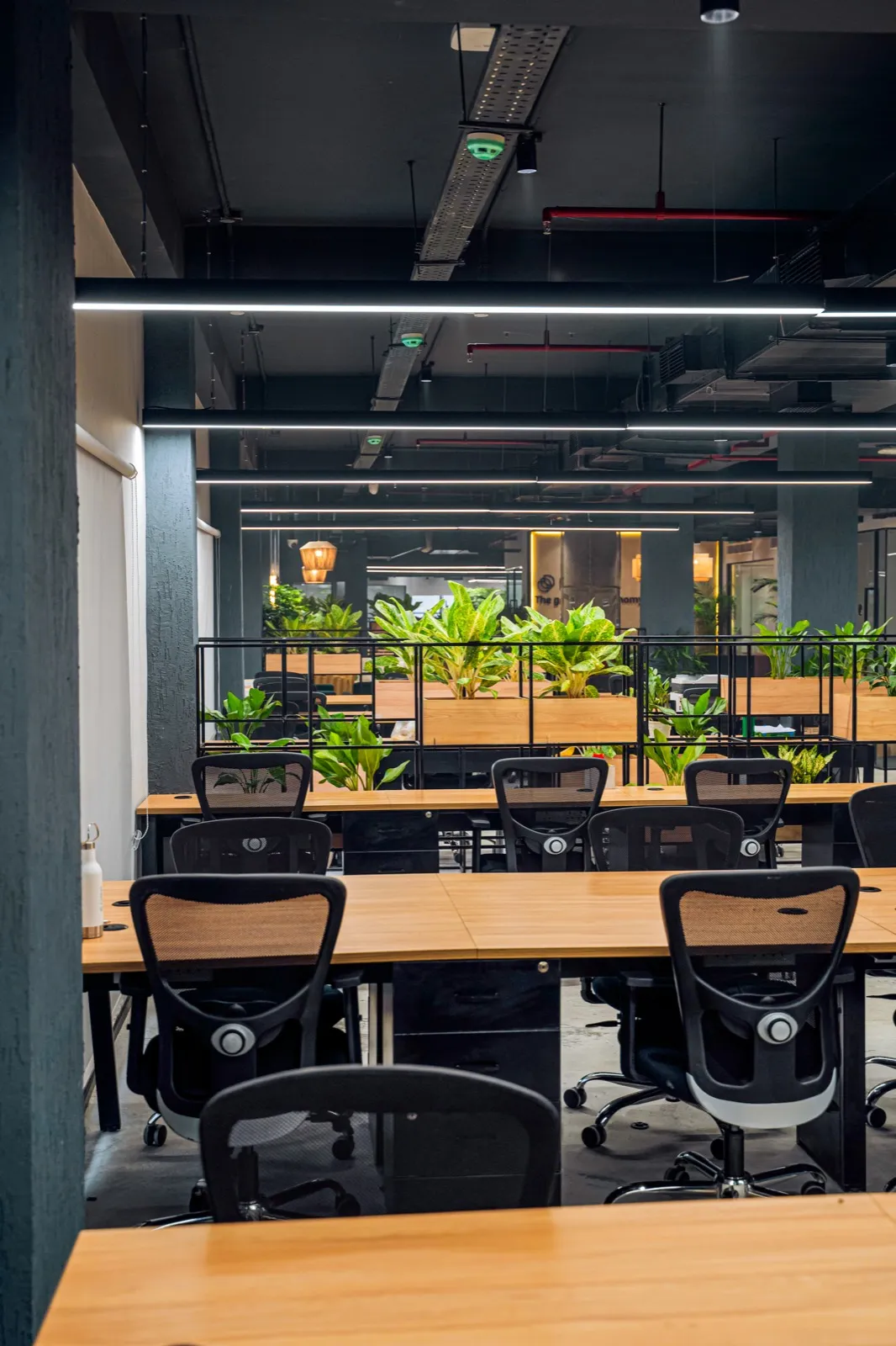 Wooden desks with mesh chairs and railing planters under exposed dark ceiling — AIHP managed office, Gurgaon