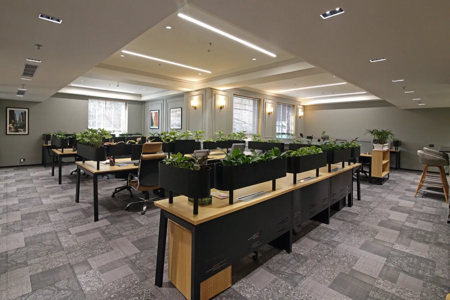 Wooden desks with tall planter dividers and chairs in a warm-lit open hall — AIHP managed office, Gurgaon