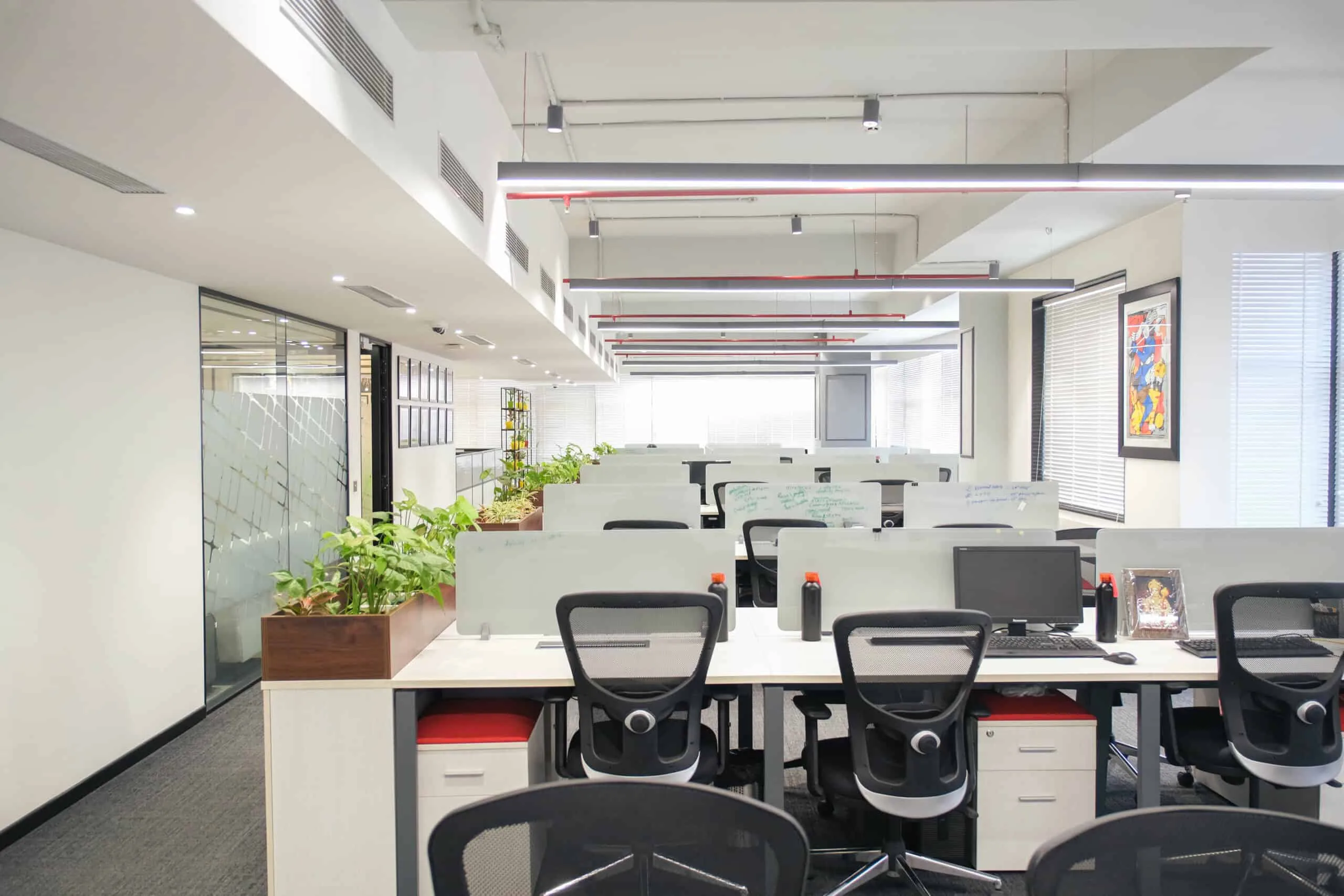 Natural Light and Employee Productivity