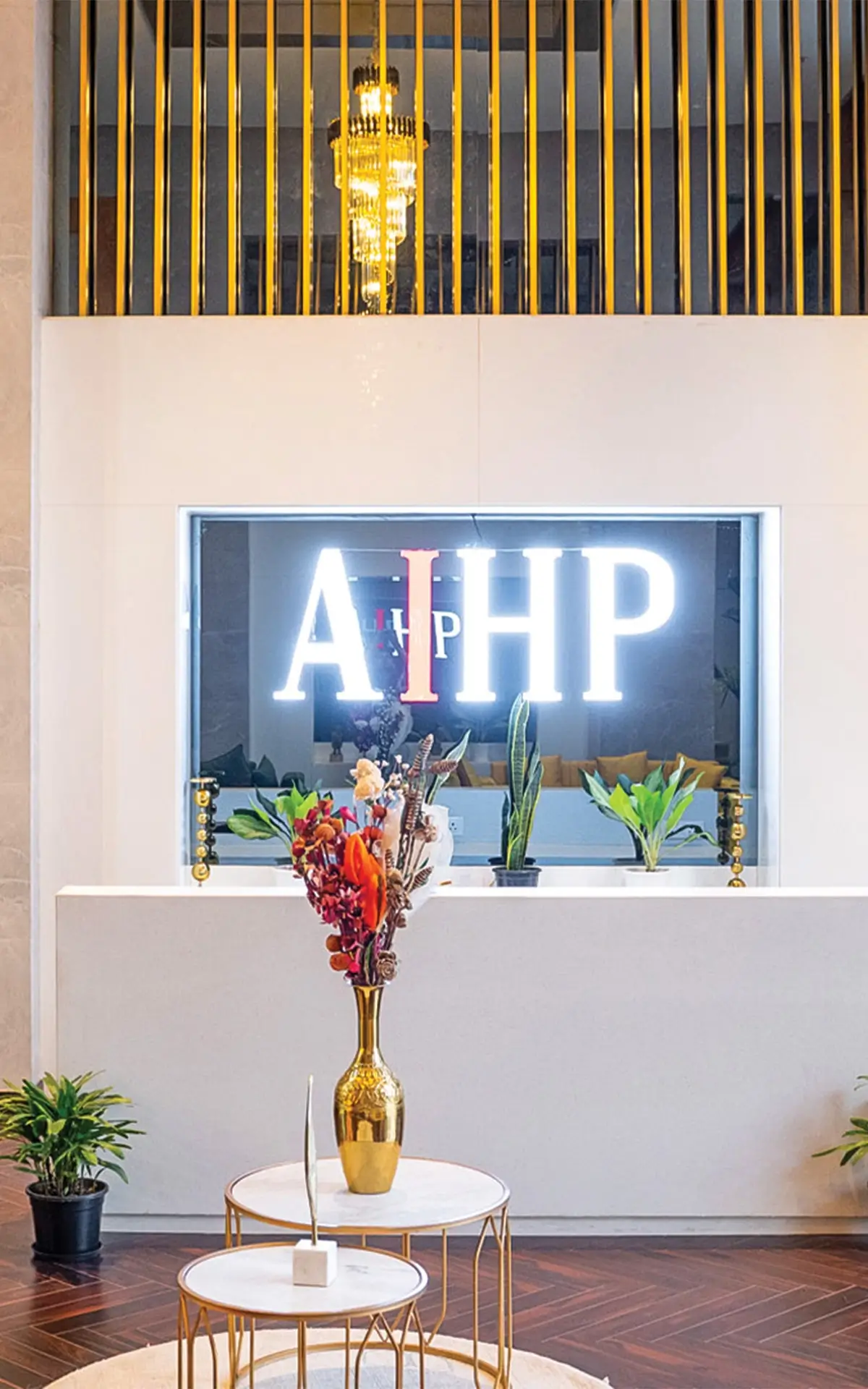 AIHP SKyline Reception